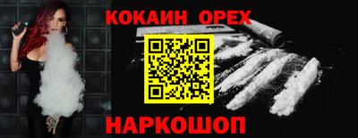 крисы Славгород
