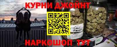 крисы Славгород