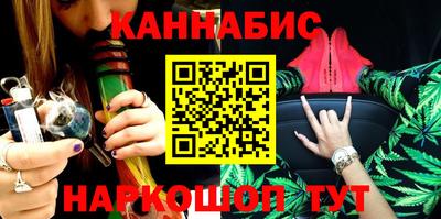 крисы Славгород