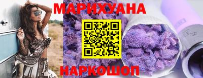 крисы Славгород