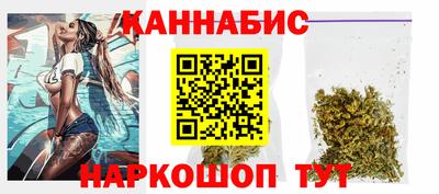 крисы Славгород