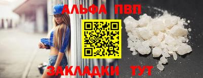 крисы Славгород