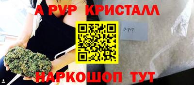 крисы Славгород