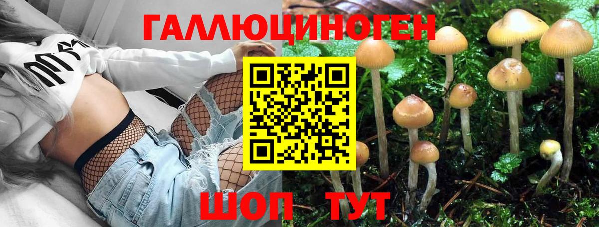 цена наркотик  Псилоцибиновые грибы Psilocybine cubensis  Вход с VPN  Назарово 
